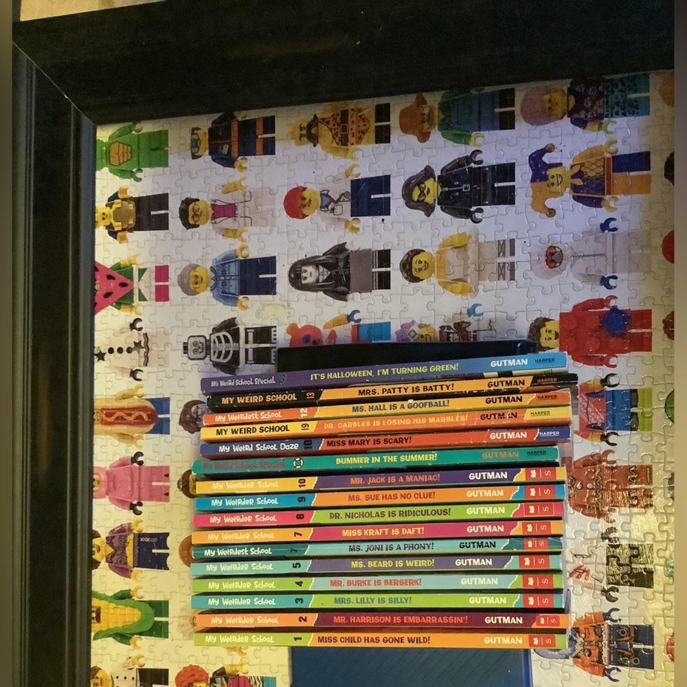 Lot of My Weird School paperback books 16 total books